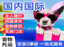 南洋机场快运国际宠物托运 【国