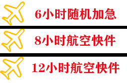 南洋机场快运快递公司,专业空运当天件